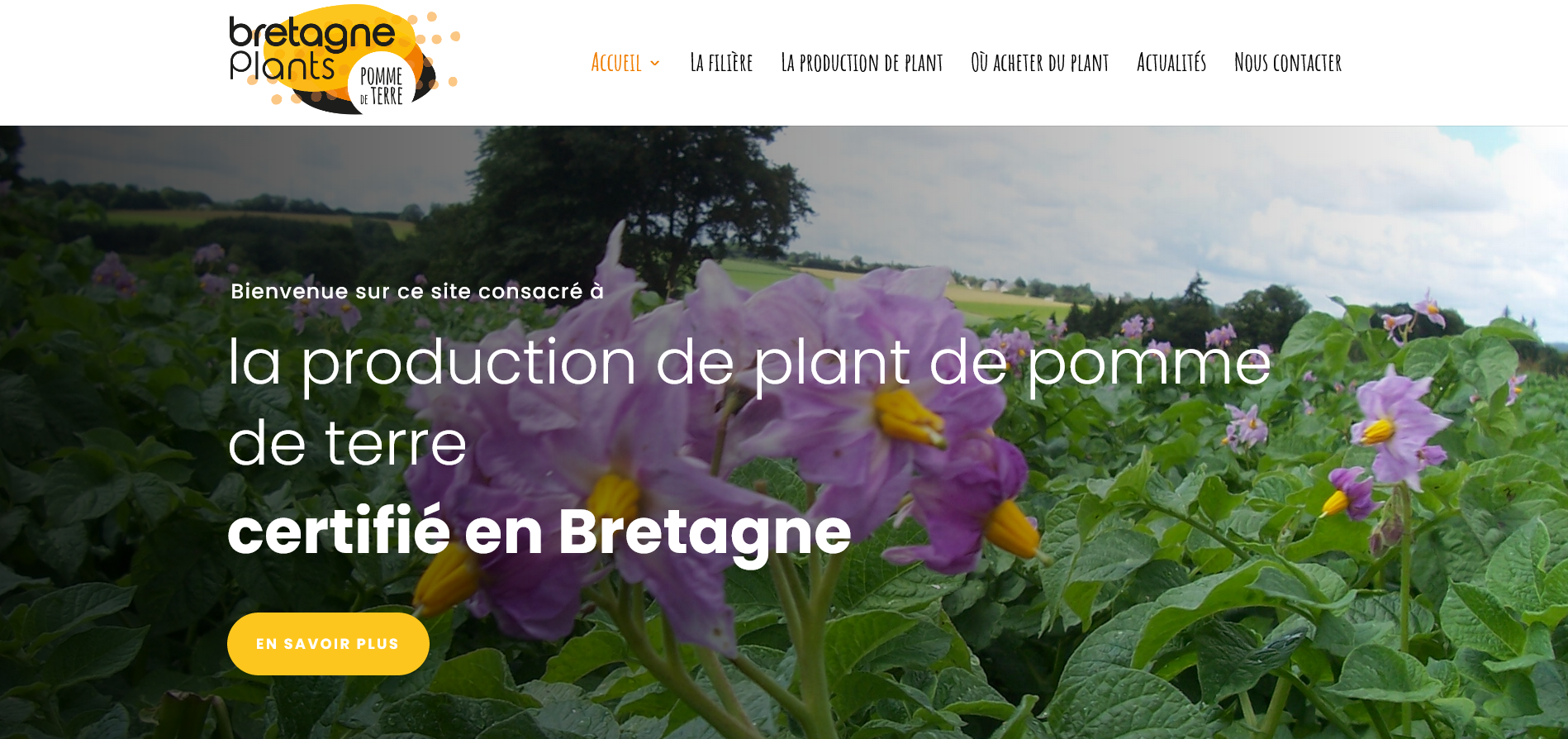 2021-03-05 Bretagne Plants Le choix dun plant de qualité Bretagne Plants Le choix dun plant de qualité